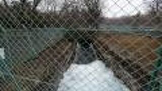 王子製紙千歳川第一発電所