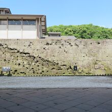 門をくぐれば、お～、石垣には…