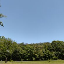 公園内の広場