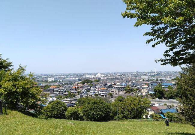 東京都立桜ヶ丘公園