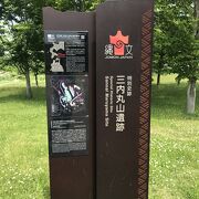 三内丸山遺跡の土偶