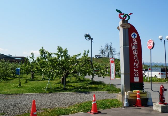 りんごの花が咲く公園　～　弘前市りんご公園