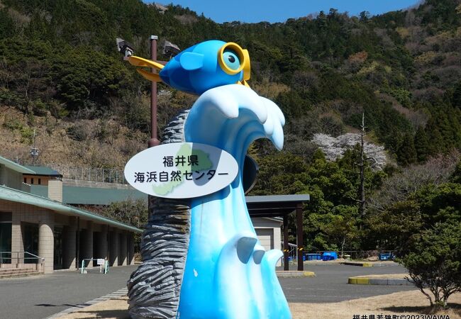 福井県海浜自然センター