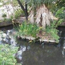 浮島稲荷神社