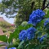 境内全体が、本山総持寺の魅力です。