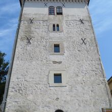 正面から見上げた様子。