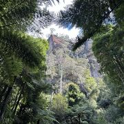 シドニーから日帰りで行ける世界遺産の大自然