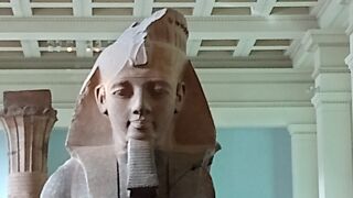 入場無料！様々な展示のある博物館