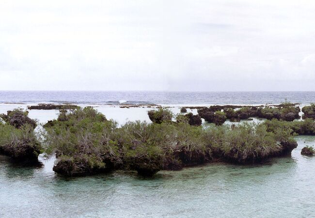 ロタ松島