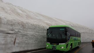 雪の大谷を見に行きました