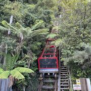 急勾配を下る迫力満点のトロッコ列車