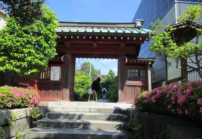 鎌倉散策(11)材木座で大功寺に行きました