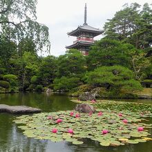 輪王寺庭園