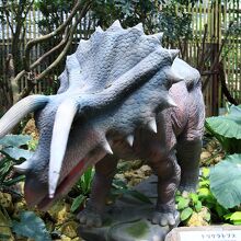 パイナップルより恐竜のほうが多い謎