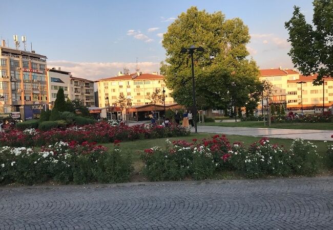 スィワスの中心部の公園