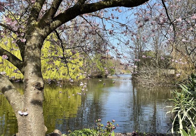 バッキンガム宮殿近くの憩いの公園。