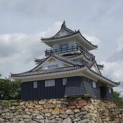 徳川家康壮年期の本城跡