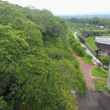 しばた千桜橋