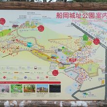 広い公園です