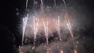 日本一の花火競技大会