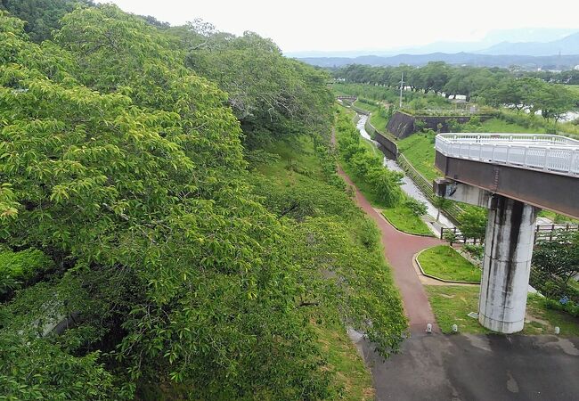 桜の時期は多くの人で賑わいます。