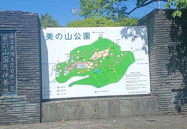 美の山公園の斜面の紫陽花