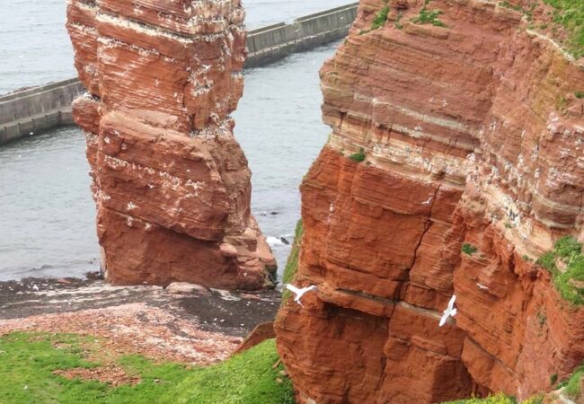 北海にあるドイツ領ヘルゴラント島で最大の見どころ