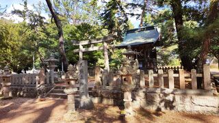 天橋立の南側にあります