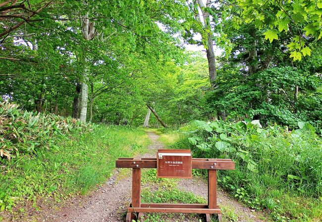 和琴半島自然探勝路