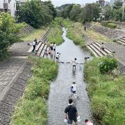 水遊び