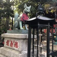 キリッとしてます