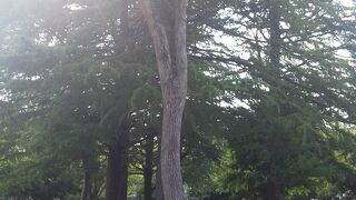 県営みさと公園