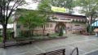 開花がまだ少し早かったので無料で入園できました