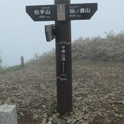 谷川連峰の名峰、花の百名山