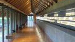 「年縞」がテーマの博物館