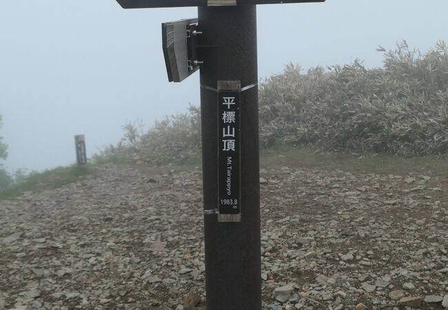 谷川連峰の名峰、花の百名山