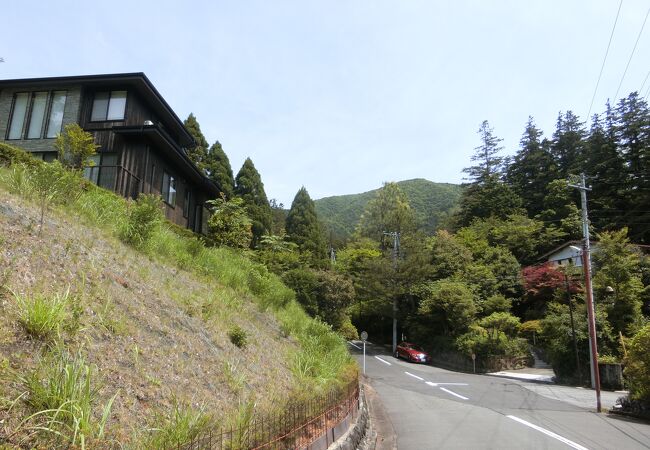 東急の別荘街から登りました。