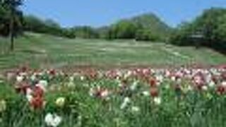 ノルンみなかみフラワーガーデン