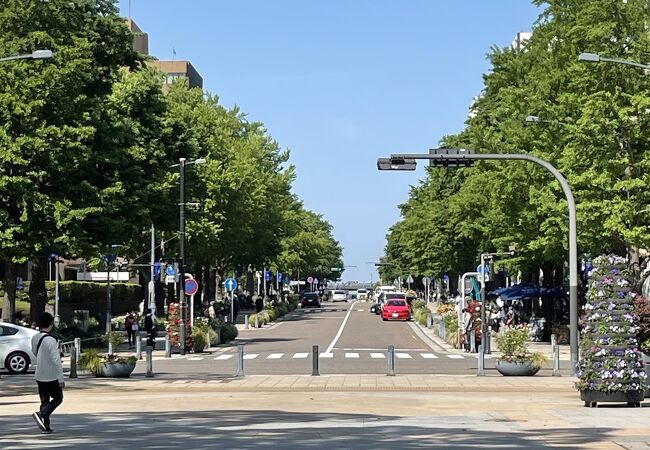 車道も歩道も幅広の道です。