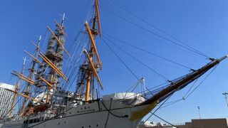 少し傾けて固定されているのかな