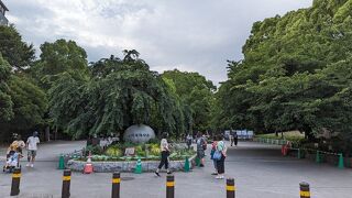 誰もが感じるのは、夜遅くまで人出が絶えなく、外国人の観光客がコロナ前に戻ったように感じます。