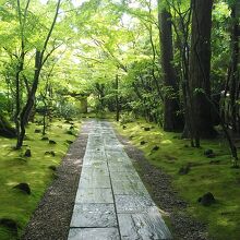 参道も苔に石が埋められ素晴らしい演出