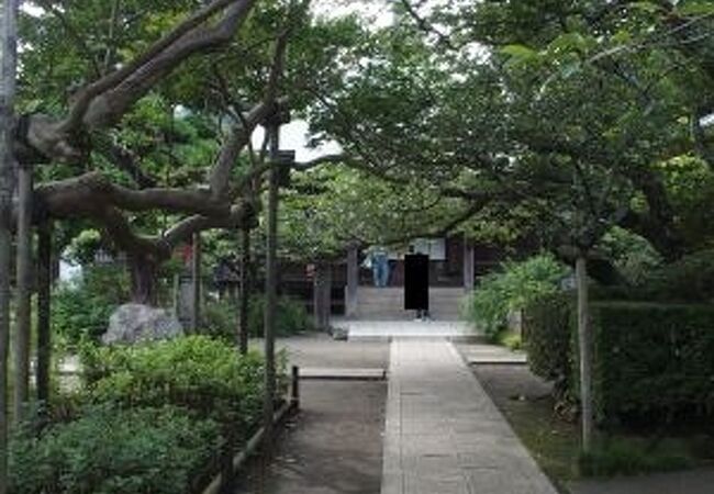 鎌倉の市街地西方にある寺院