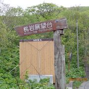 桃岩登山口から上ったので非常に近い感じでした