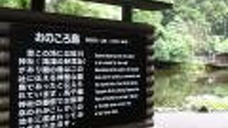 チョウザメがいます