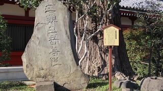 【正観世音菩薩碑】石碑自体がとても立派