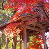 西明寺(池寺)