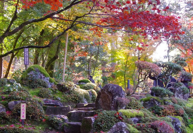 西園寺 1200px-Saion-ji_Kyoto_001.jpg