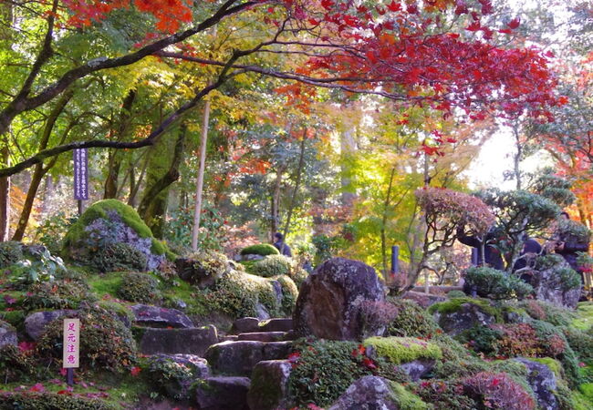 西明寺庭園(蓬来庭)