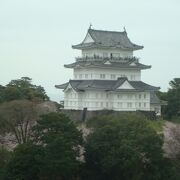 八幡山古郭東曲輪から小田原城が見えます